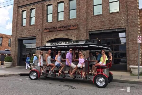 imgi_1_Private-Tour-14-Passenger-Lakeview-Avondale-Pepper-Place-image-1